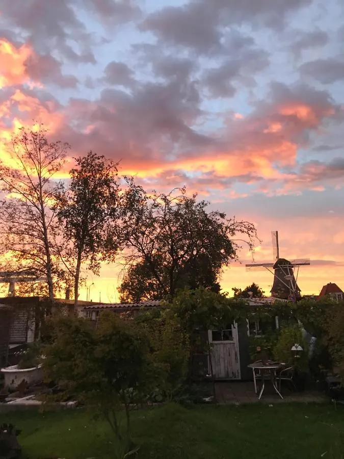 Bed and Breakfast Morpheus Amsterdam 0*,